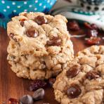 coconut, cranberry, chocolate chip oatmeal cookies