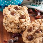coconut, cranberry, chocolate chip oatmeal cookies coconut, cranberry, chocolate chip oatmeal cookies