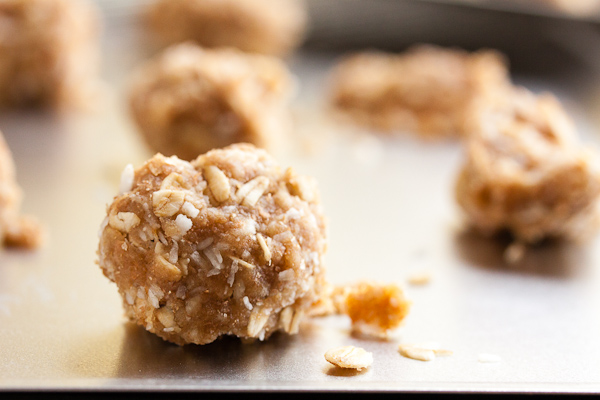 oat and coconut cookies