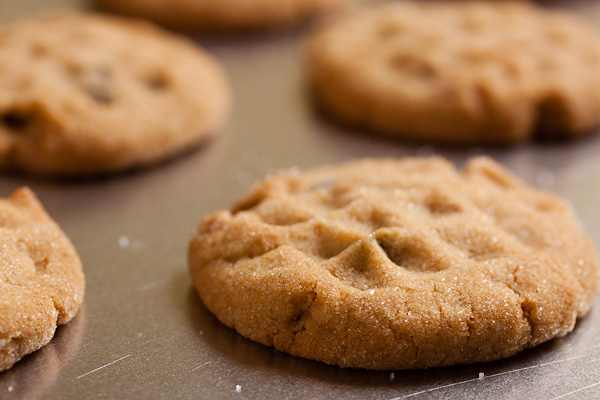 peanut butter chocolate chip cookies