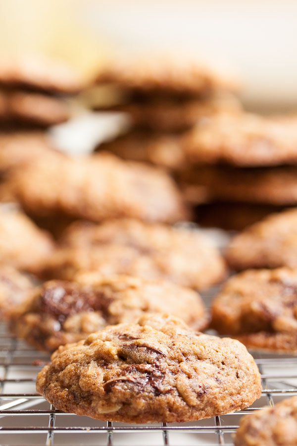 chocolate chunk oatmeal cookies