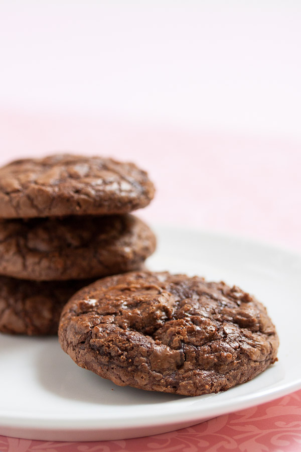 double chocolate cookies