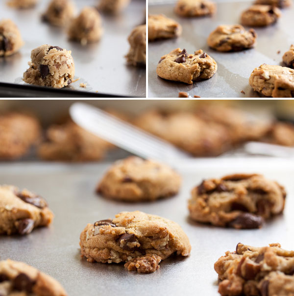 chocolate chip cookies