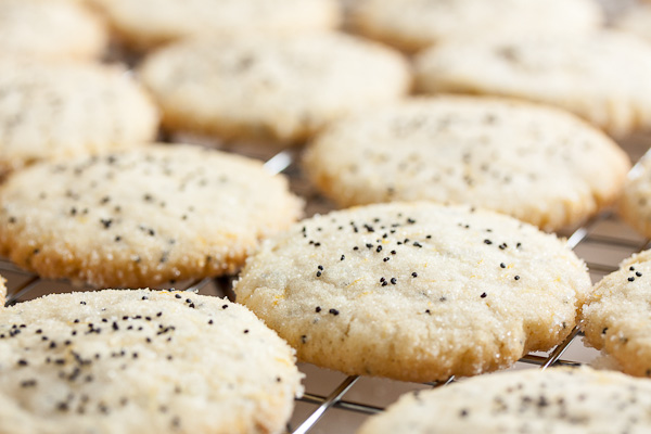 This Lemon Poppy Seed Cookie is delicate, crispy, and intensely lemon-y. I love this cookie!