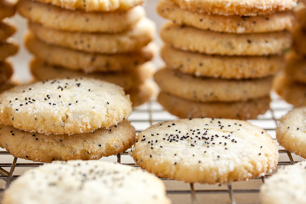 This Lemon Poppy Seed Cookie is delicate, crispy, and intensely lemon-y. I love this cookie!