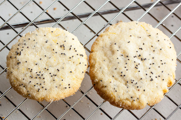 This Lemon Poppy Seed Cookie is delicate, crispy, and intensely lemon-y. I love this cookie!