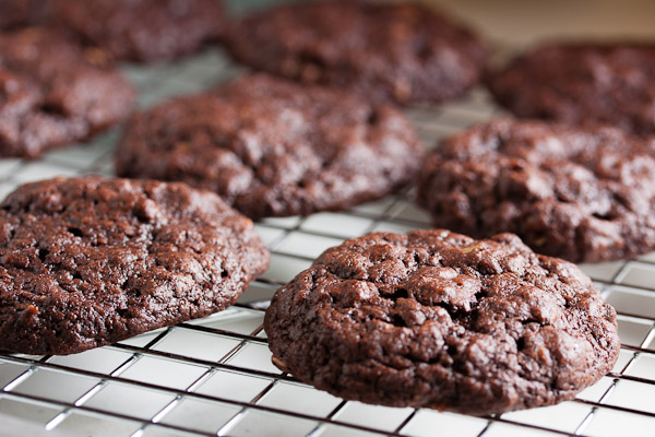 chocolate oatmeal cookies