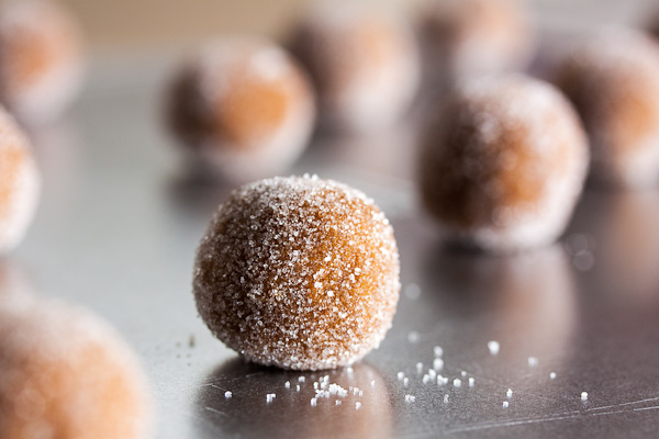 fresh ginger molasses cookies