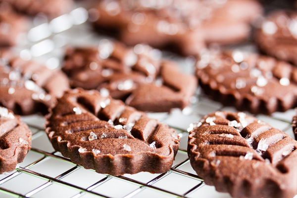 These chocolate ginger cookies are a nice gingerbread with a hint of chocolate. Ideal for cookie cutters as it holds it shape well when baked.