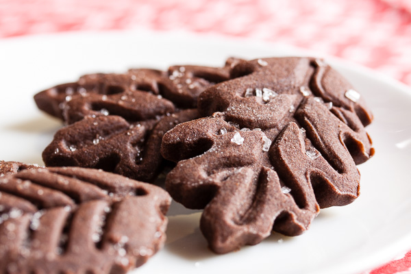 These chocolate ginger cookies are a nice gingerbread with a hint of chocolate. Ideal for cookie cutters as it holds it shape well when baked.