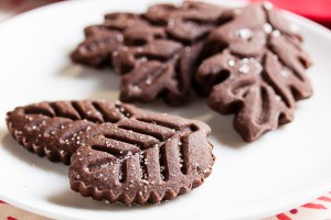 chocolate ginger cookies