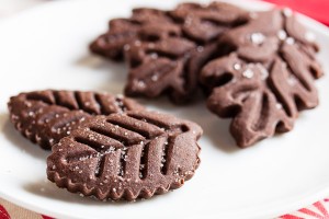 chocolate ginger cookies