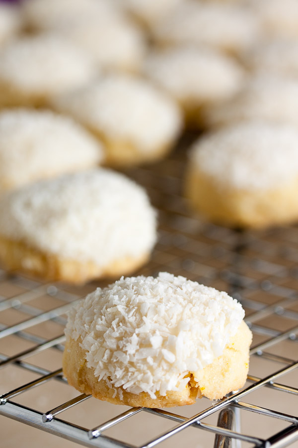 coconut orange cookies