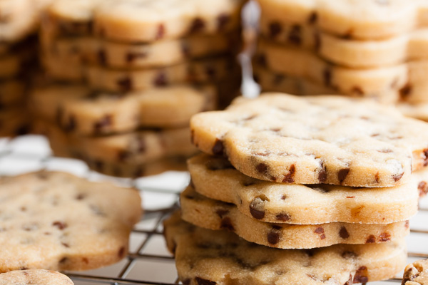 These roll-out chocolate chip cookies are soft and slightly crumbly, like a shortbread studded with tiny chocolate chips. Great cookie cutter cookie!