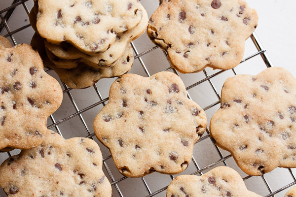 These roll-out chocolate chip cookies are soft and slightly crumbly, like a shortbread studded with tiny chocolate chips. Great cookie cutter cookie!
