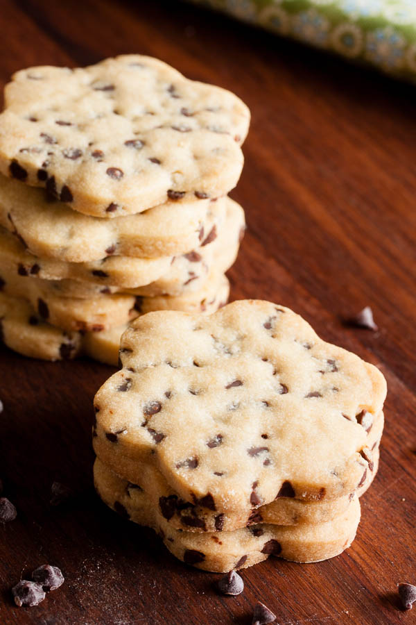 These roll-out chocolate chip cookies are soft and slightly crumbly, like a shortbread studded with tiny chocolate chips. Great cookie cutter cookie!