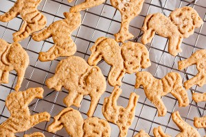 cinnamon animal crackers