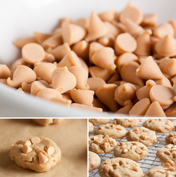 Brown Sugar Butterscotch Cookies – soft and chewy and loaded with butterscotch chips.