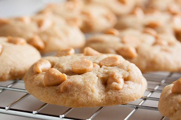 Brown Sugar Butterscotch Cookies – soft and chewy and loaded with butterscotch chips.