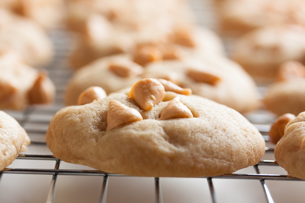 Brown Sugar Butterscotch Cookies – soft and chewy and loaded with butterscotch chips.