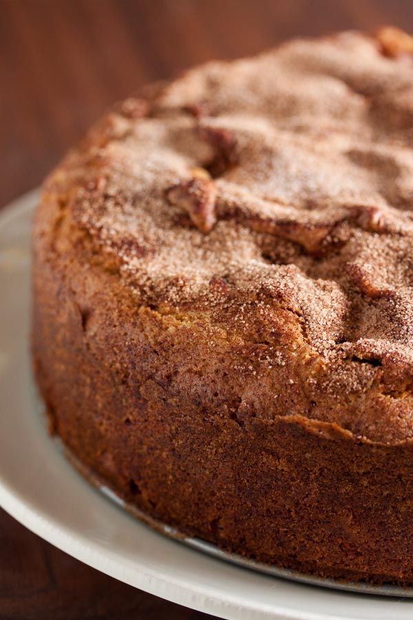 Cinnamon Apple Cake – rich and incredibly moist, this cake is a perfect combination of fall flavours.