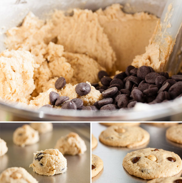 Peanut Butter Chocolate Chip Cookies – soft and chewy, loaded with chocolate chips, and topped with a salted peanut to contrast the sweetness.
