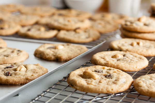 Peanut Butter Chocolate Chip Cookies – soft and chewy, loaded with chocolate chips, and topped with a salted peanut to contrast the sweetness.