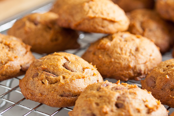 Pumpkin Chocolate Chip Cookies – soft and fluffy, combining the flavours of pumpkin, spice, and chocolate. They'll disappear fast!