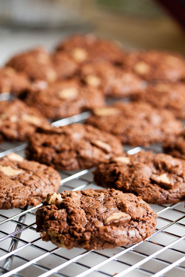 Chocolate Peanut Butter Cup Cookies – a rich, intensely chocolate peanut butter cookie, studded with mini peanut butter cups.