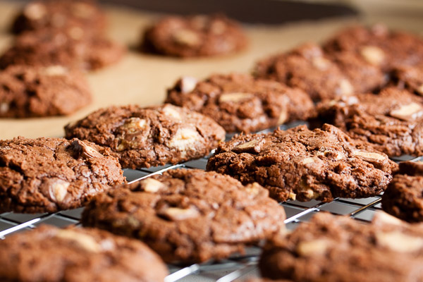 Chocolate Peanut Butter Cup Cookies – a rich, intensely chocolate peanut butter cookie, studded with mini peanut butter cups.