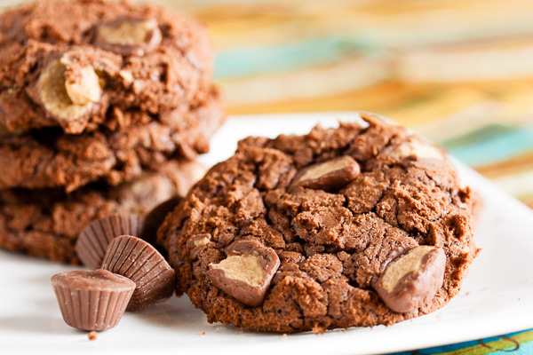 Chocolate Peanut Butter Cup Cookies – a rich, intensely chocolate peanut butter cookie, studded with mini peanut butter cups.