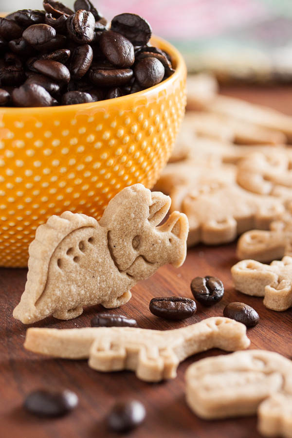 Espresso Shortbread Rollout Cookies – soft and tender, subtly sweet, with a lovely espresso flavour.