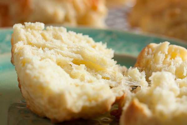 These Cheese Scones are slightly crusty on the outside, and flaky and tender and incredibly buttery on the inside.