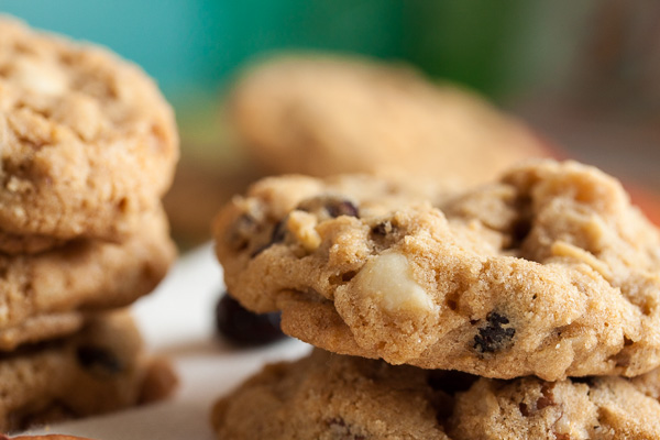 cranberry pecan oatmeal cookies