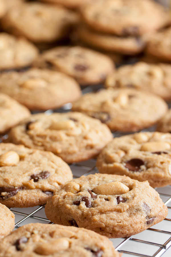 Chunky Peanut, Chocolate, Cinnamon Cookies – soft, and chewy, and so, so peanut-y and chocolate-y. This is my new favourite peanut butter cookie!