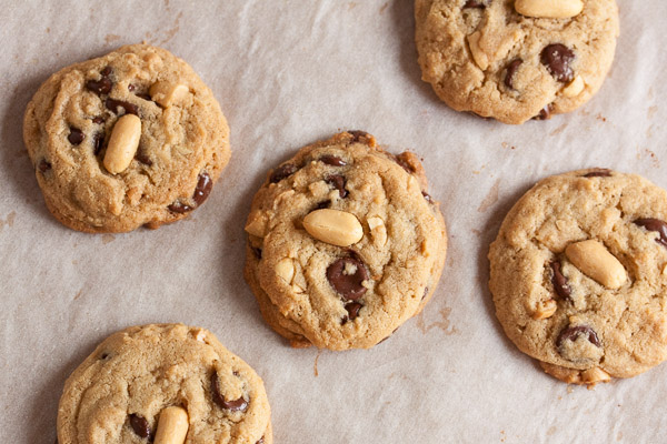 Chunky Peanut, Chocolate, Cinnamon Cookies – soft, and chewy, and so, so peanut-y and chocolate-y. This is my new favourite peanut butter cookie!