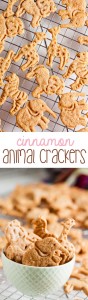 Both cinnamon and honey combine to give these soft, tender cinnamon animal crackers a flavour reminiscent of mini donuts or cinnamon buns.