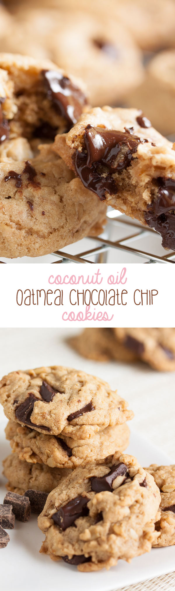 Coconut Oil Oatmeal Chocolate Chip Cookies – dense and moist and chewy and loaded with flavour.