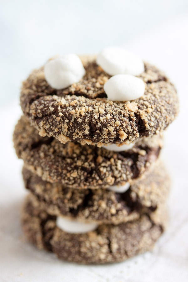 http://wannacomewith.com/wp-content/uploads/2015/08/smores-cookies-2565.jpg