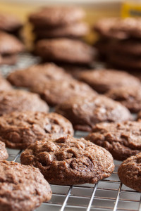 Soft and chewy Mocha Latte Cookies – a perfect combination of the flavours of coffee and rich chocolate, with both milk and dark chocolate chips.