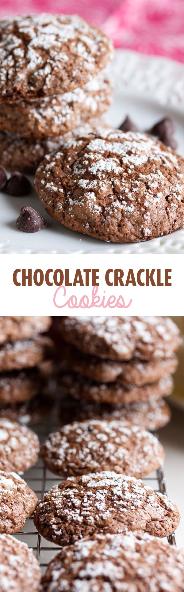 Chocolate Crackles – soft, moist chocolate cookies made even more chocolate-y with chocolate chips. They're like a brownie in cookie form!