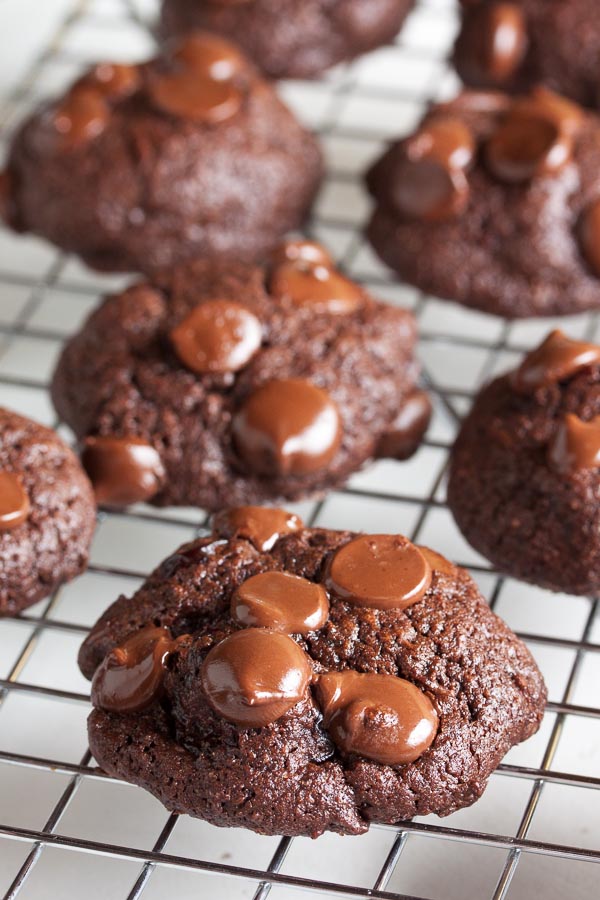 Rich, dense, Double Chocolate Cherry Cookies – full of dark chocolate chunks and brandy-soaked tart cherries.