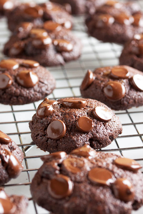 Rich, dense, Double Chocolate Cherry Cookies – full of dark chocolate chunks and brandy-soaked tart cherries.