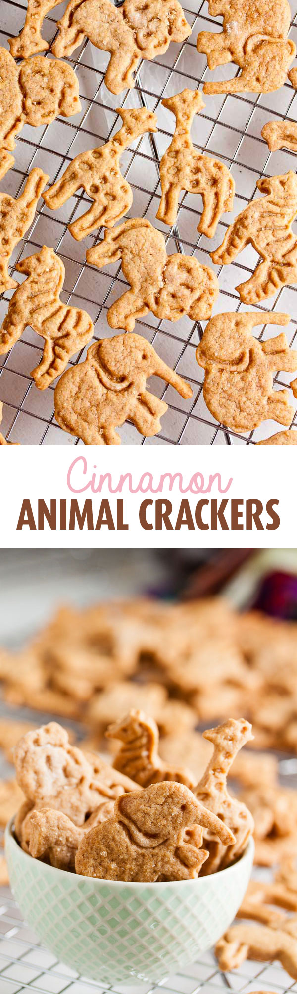 Both cinnamon and honey combine to give these soft, tender cinnamon animal crackers a flavour reminiscent of mini donuts or cinnamon buns.