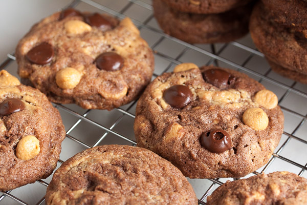 double chocolate peanut butter swirl cookies