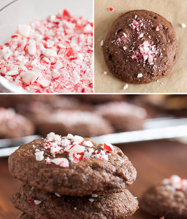 Double chocolate peppermint cookies, full of lots of chocolate chips and topped with crunchy crushed candy cane. A perfect combination of flavours.