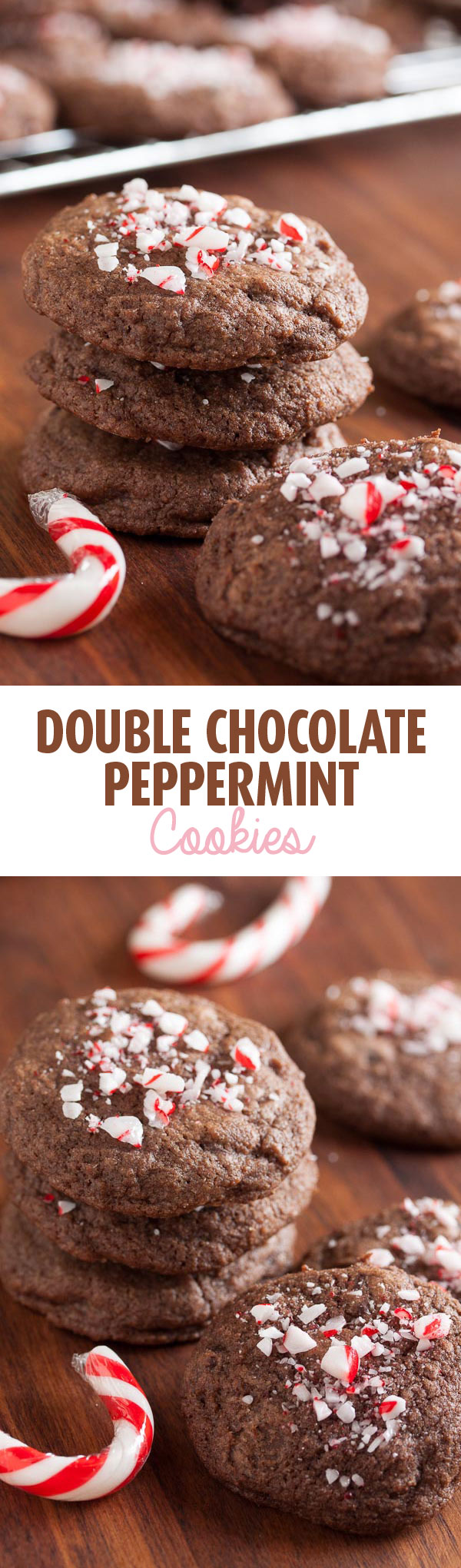 Double chocolate peppermint cookies, full of lots of chocolate chips and topped with crunchy crushed candy cane. A perfect combination of flavours.