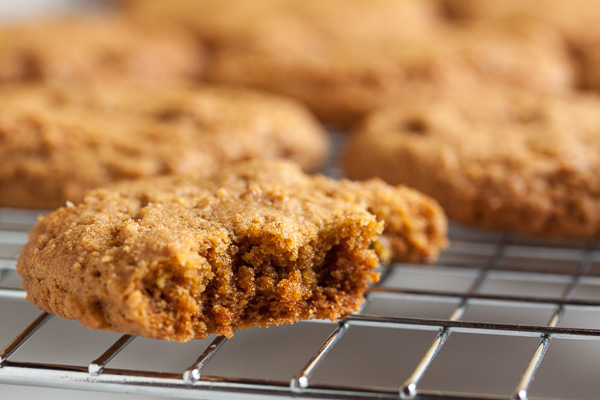 These Ginger Citrus Cookies are wonderfully flavourful spiced molasses cookies, with candied citrus peel for a refreshing twist.