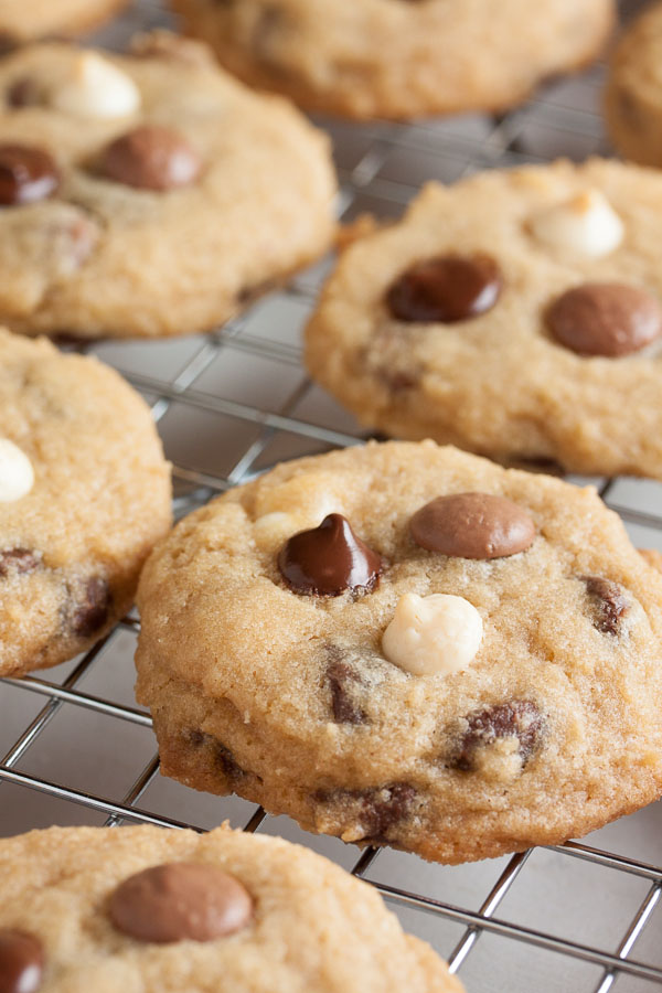 Soft and chewy Triple Chocolate Chip Cookies, taking it to the next level with tons of semisweet, milk, and white chocolate chips.