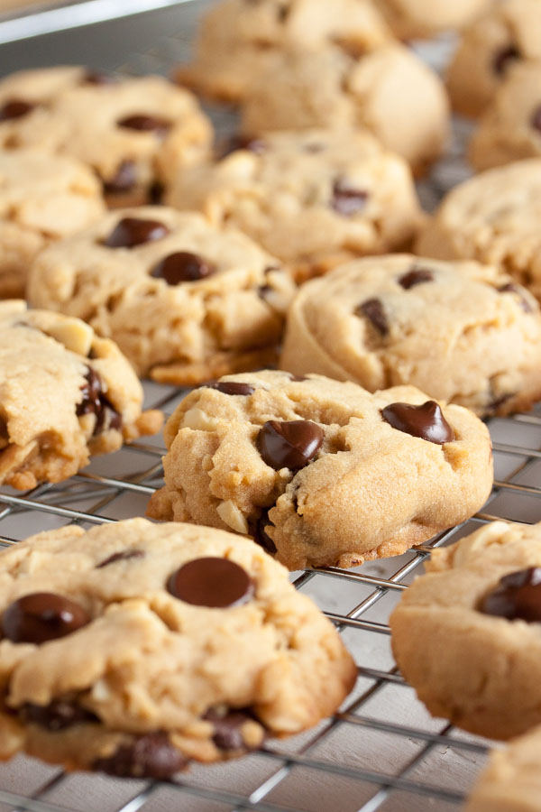 Chocolate chip nut butter cookies – you can make these with any kind of nut butter you like. They're loaded with nutty flavour, tons of chocolate chips, with a melt in your mouth texture.